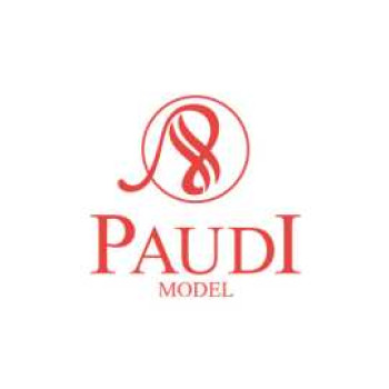 PAUDI