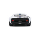 FORD GT40 MK1 – TARGA FLORIO – 1967 – #130 H.GREDER / J.M.GIORGI